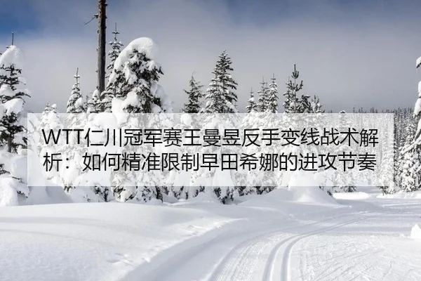 WTT仁川冠军赛王曼昱反手变线战术解析：如何精准限制早田希娜的进攻节奏